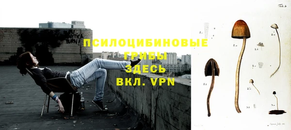 мескалин Горно-Алтайск