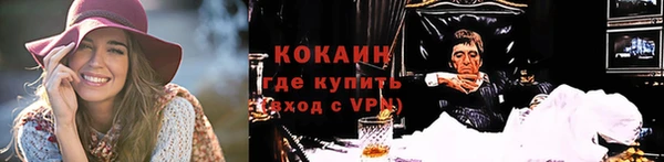Альфа ПВП Горняк