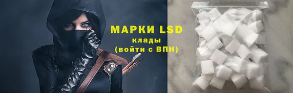 гидра Гусь-Хрустальный
