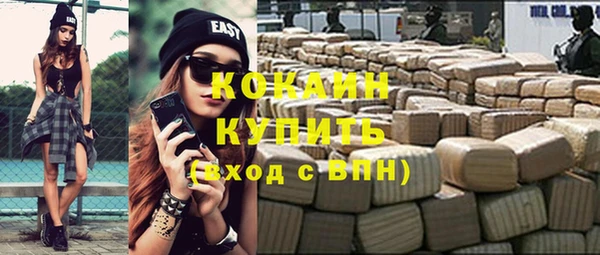 Альфа ПВП Горняк