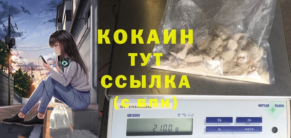 амф Гусиноозёрск
