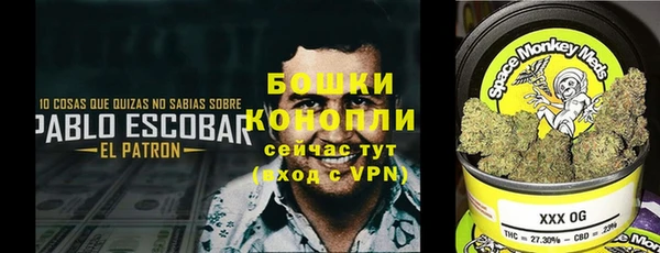 Альфа ПВП Горняк
