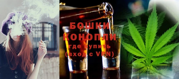 ALPHA PVP Гусев