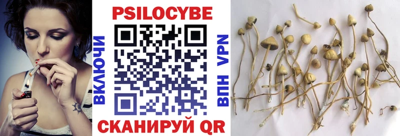 Купить  Киржач  Псилоцибиновые грибы Magic Shrooms 