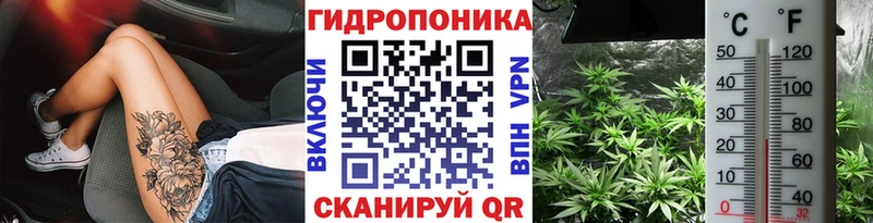 Купить закладки Киржач Бошки марихуана THC 21%
